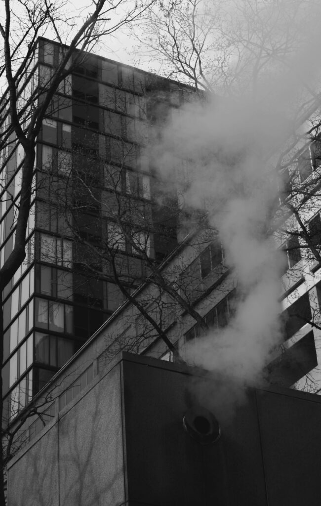 NYC Risk Management ESG Regulation